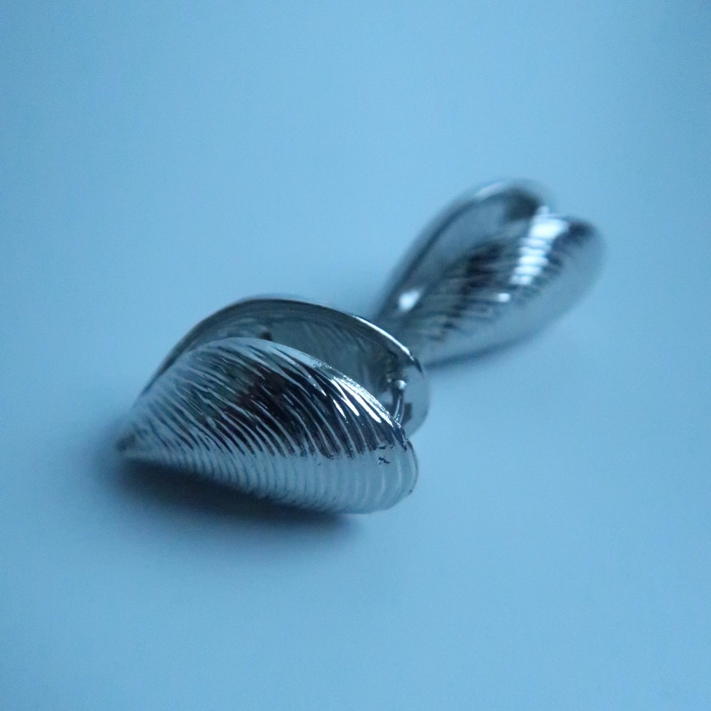 LOSTINCRUSH Sea Shell Earrings