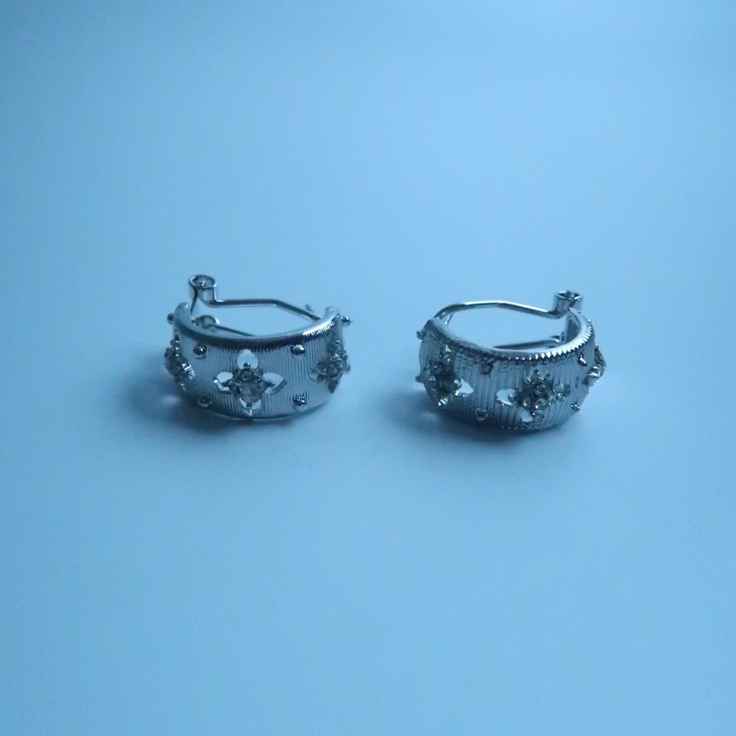 LOSTINCRUSH Souvenir Earrings
